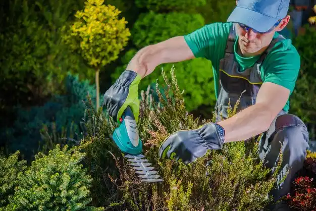 landscaping services St. Marys